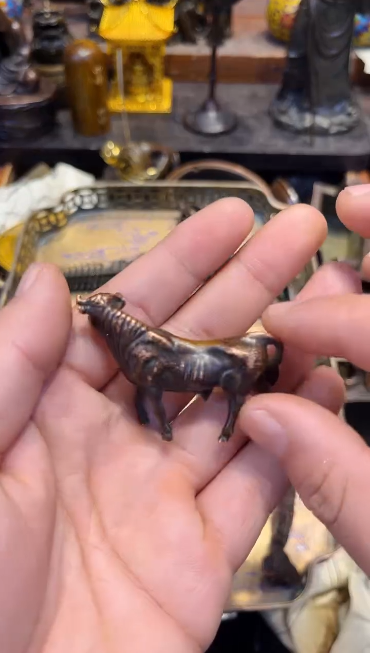 【闪购商品】A蔡哥专属高端精品1