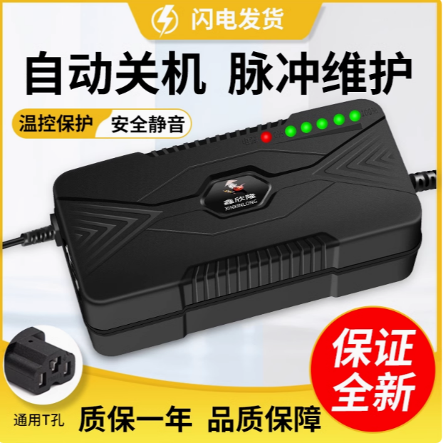 电动车电瓶充电器九号小牛极核适配