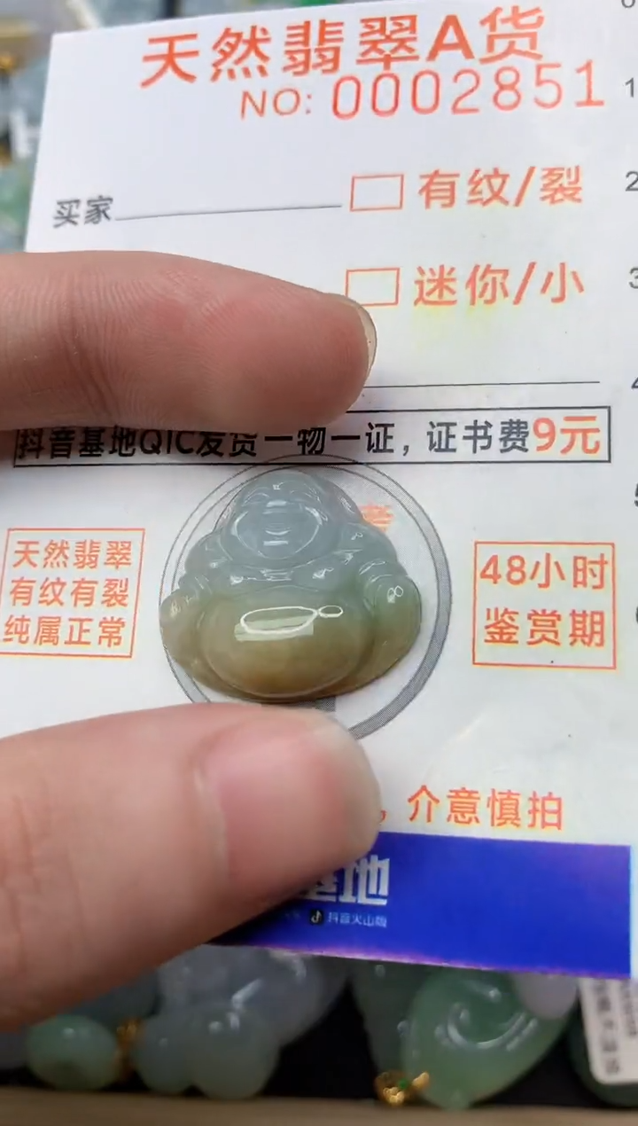 【闪购商品】翡翠颈饰合金3.............