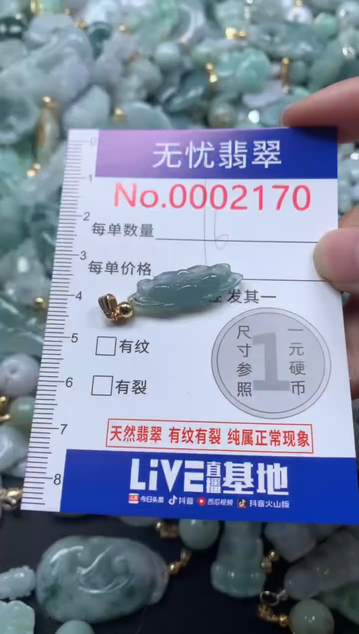 颈饰未镶嵌翡翠2170