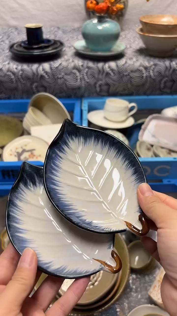 瓷片喵喵家都是大漂亮