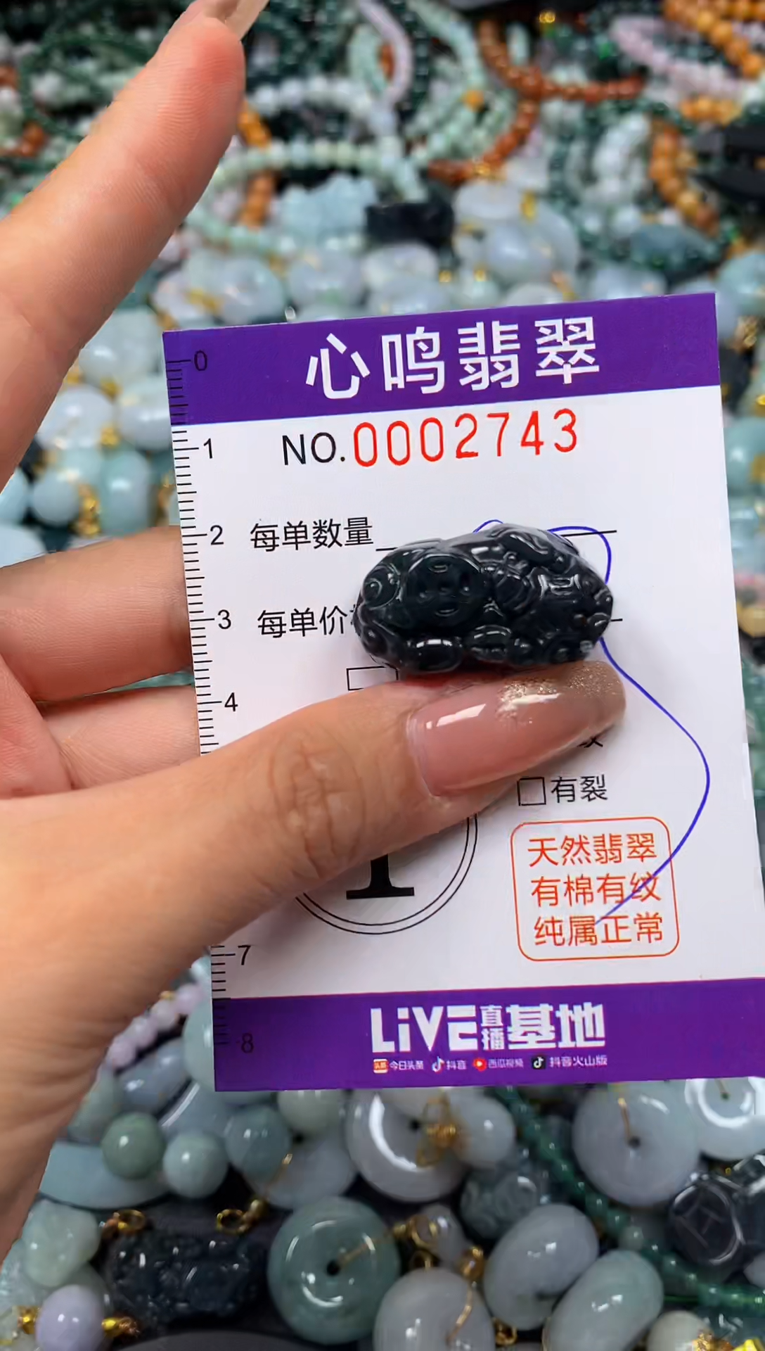 翡翠未镶嵌颈饰闪购002743
