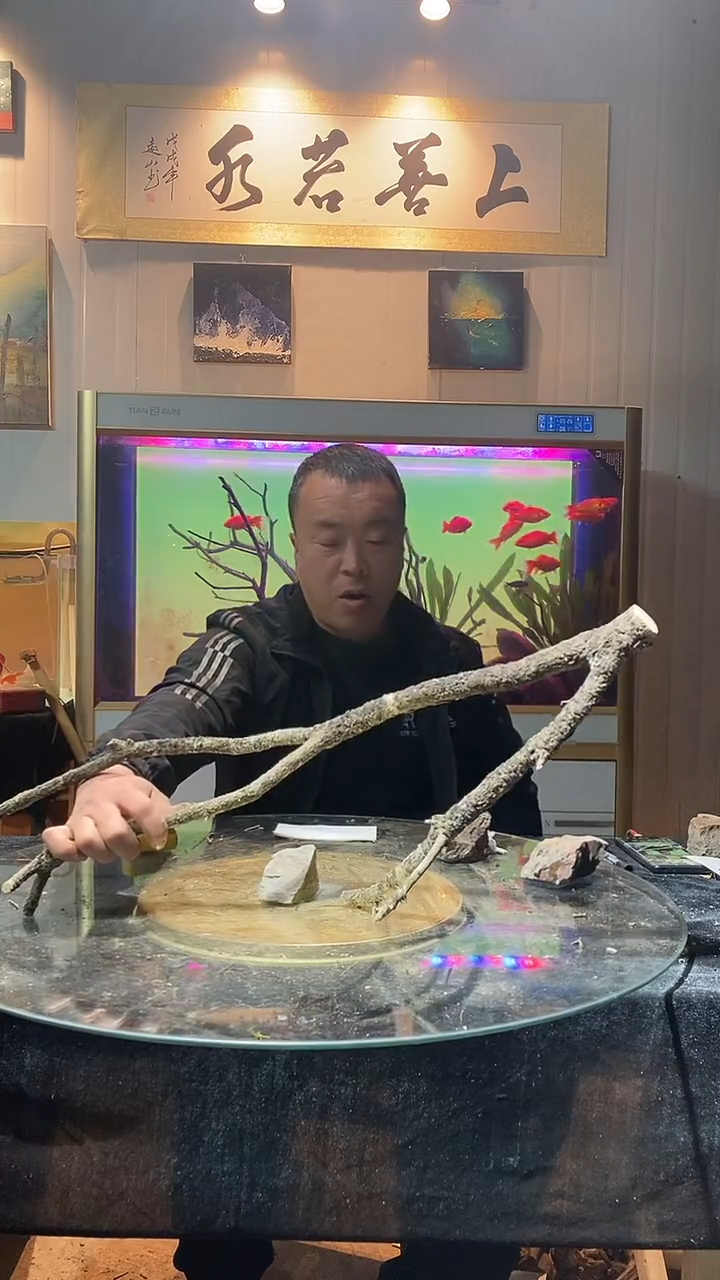 157号天然黄栎木