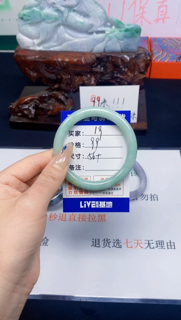 未镶嵌手镯翡翠19