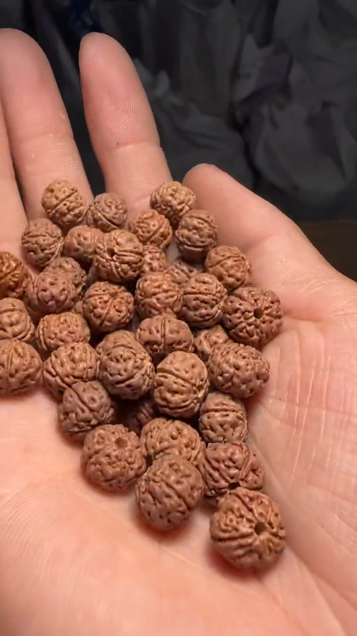 金刚菩提手串非全品勿里达老树王散籽10-11mm一份一百颗