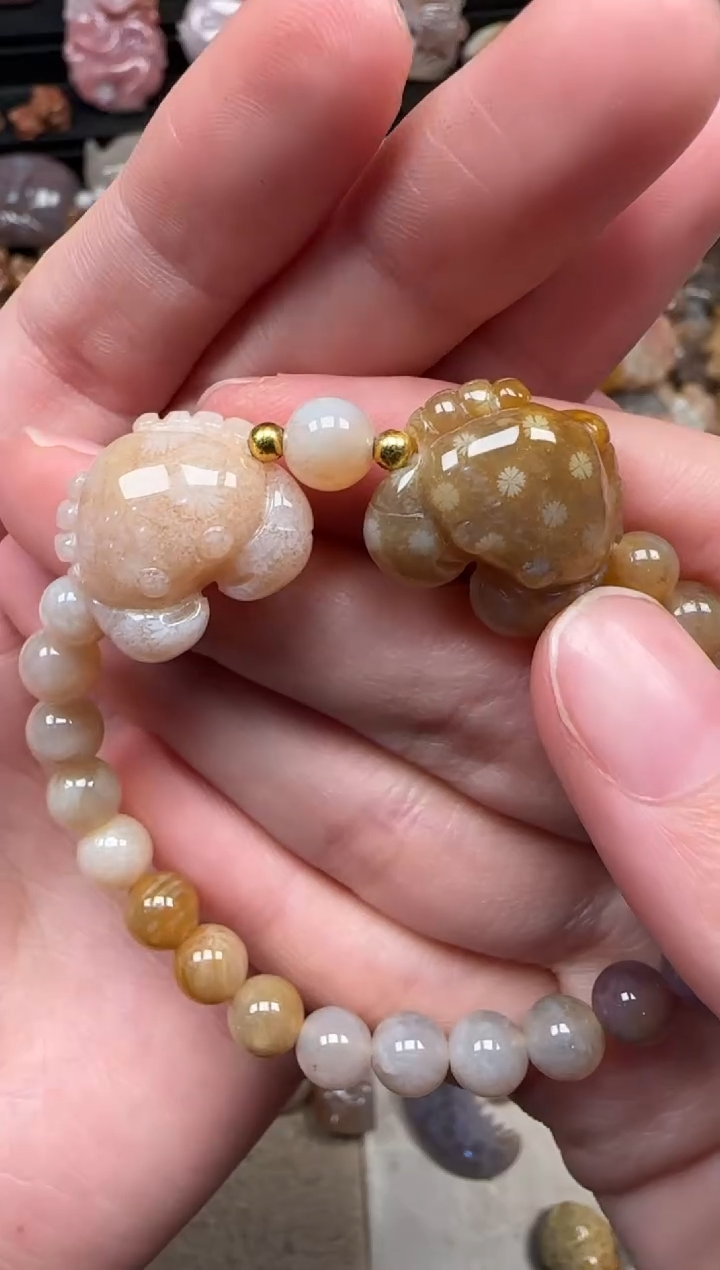 颈饰未镶嵌硅化珊瑚（珊瑚玉）158