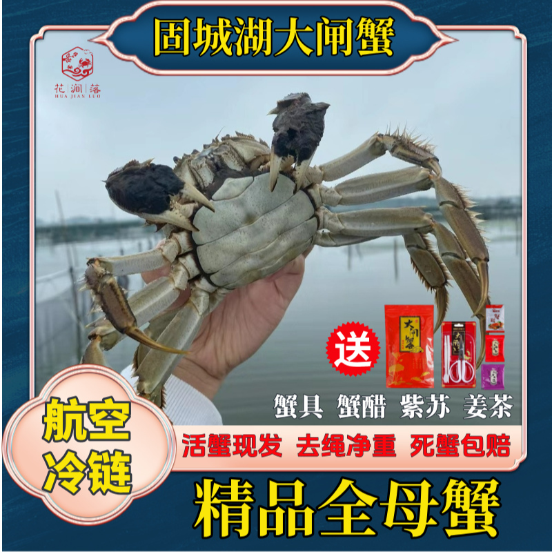 【江苏精品活蟹】3.0-2.7两母蟹买8只送2只到手10只礼盒装 现捕现发