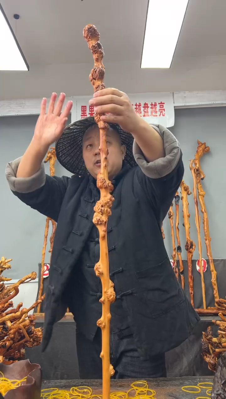 【闪购商品】黑果木其他黑果木905