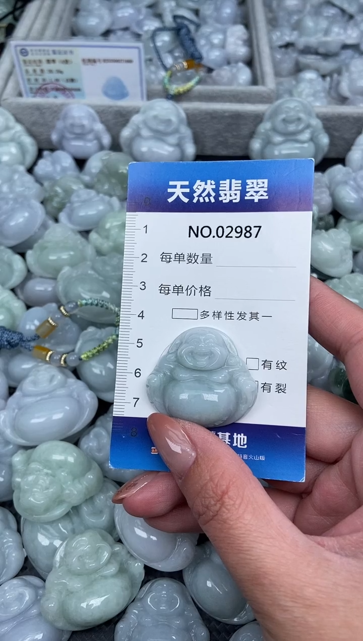 颈饰未镶嵌翡翠纯天然A货翡翠2987