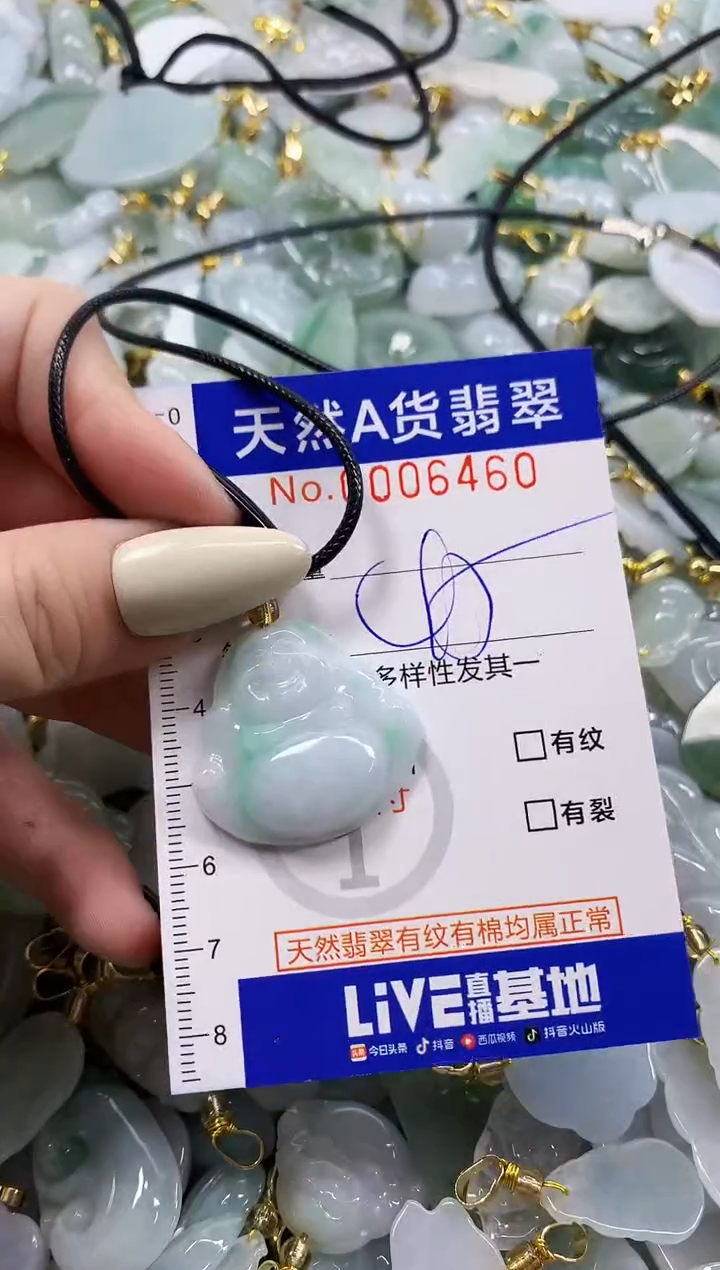 颈饰未镶嵌翡翠天然A货翡翠