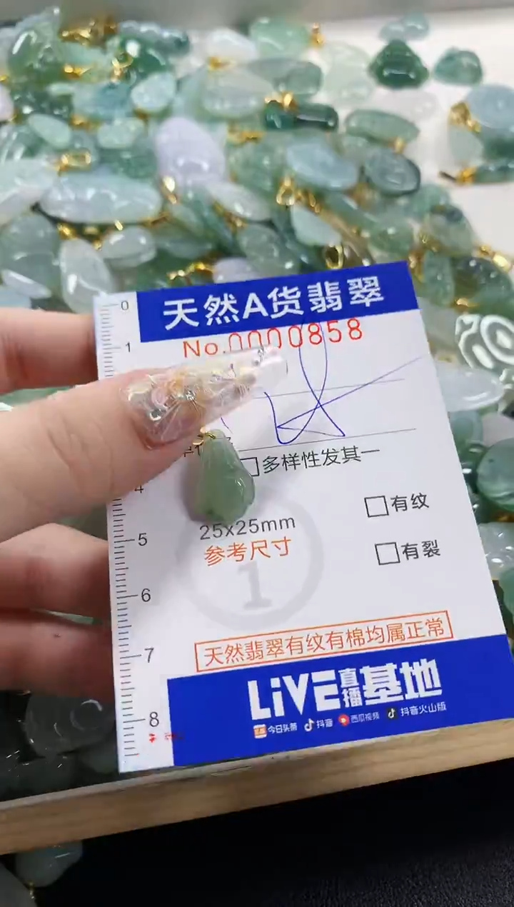 颈饰未镶嵌翡翠天然A货翡翠