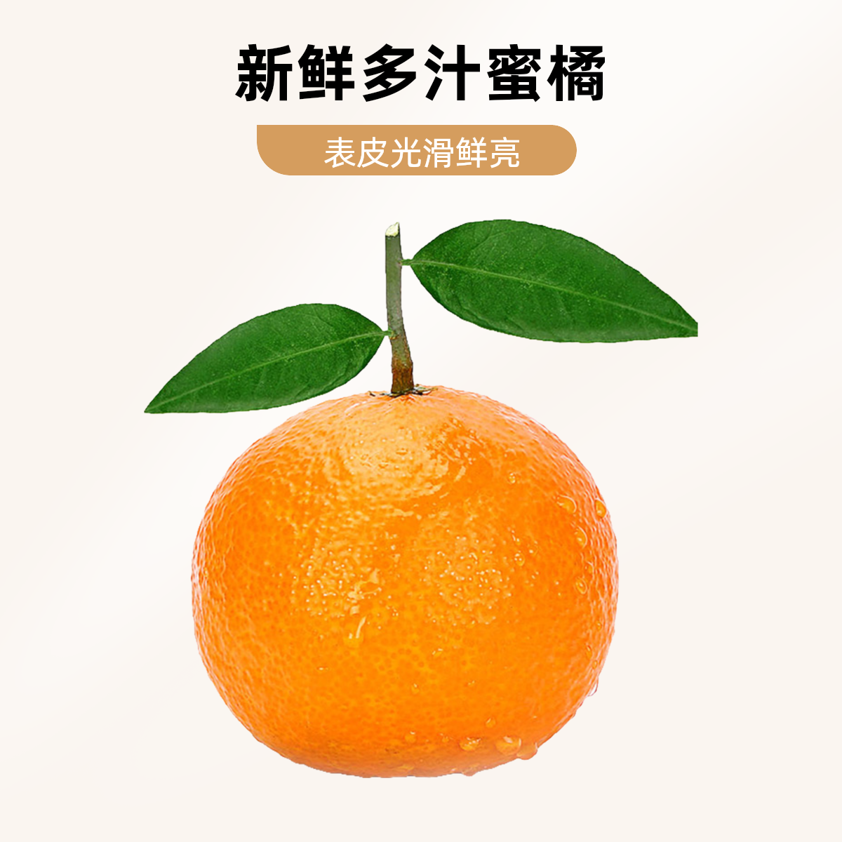 蜜柑（礼盒装）约9斤果冻橙