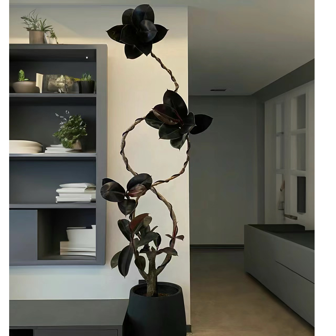 造型黑金刚橡皮树网红盆栽客厅装饰落地大型绿植ing风