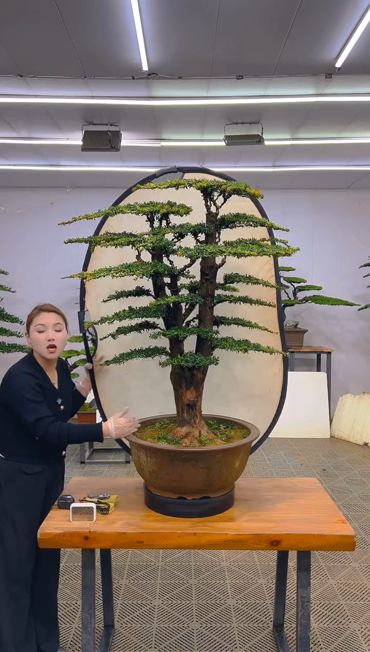 无花朵一物一拍一物一拍