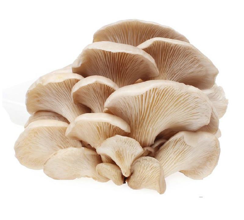 【标】平菇EA 约400g/份