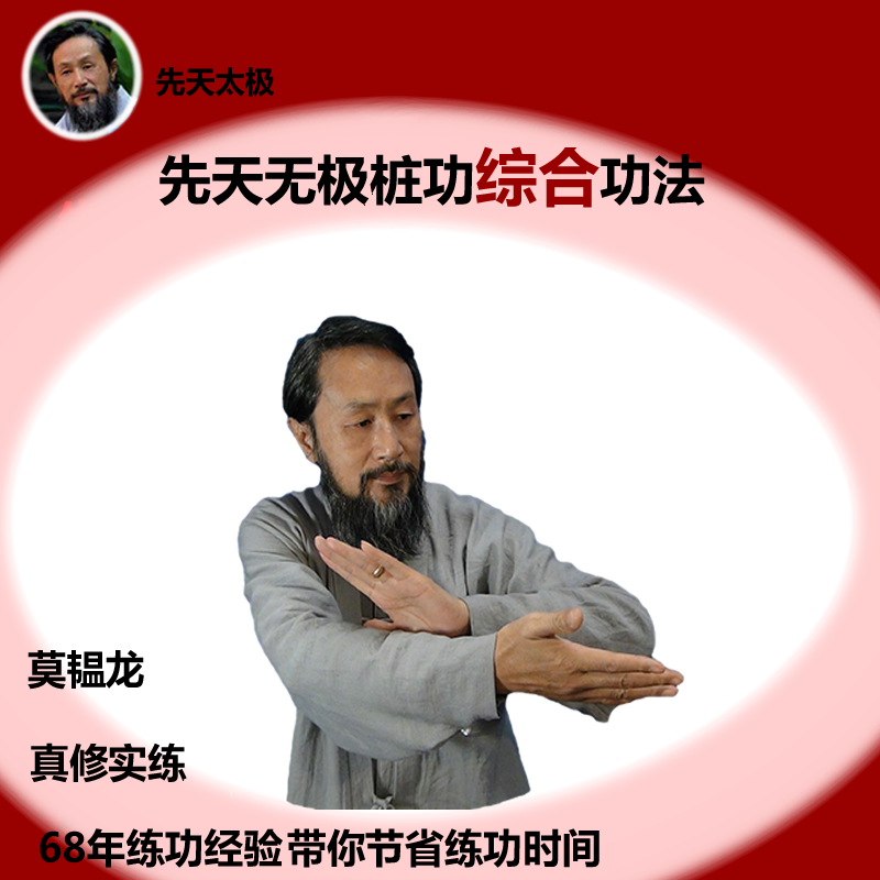 （苹果手机专拍）先天无极桩