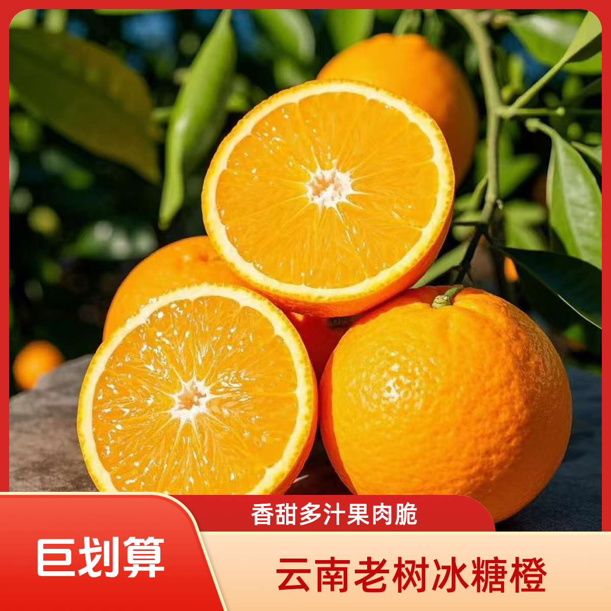 云南哀牢山冰糖橙树上熟香甜多汁 营养丰富 新鲜采摘  现摘现发