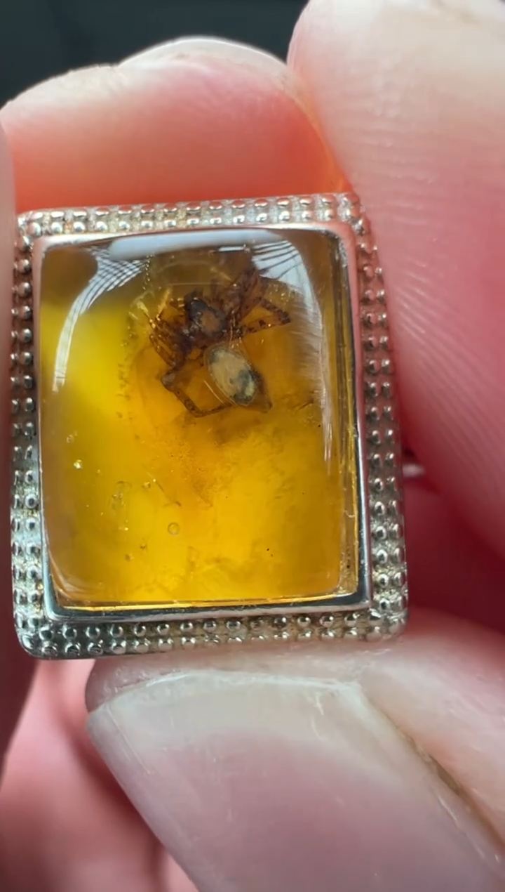 银S925镶嵌琥珀戒指戒指