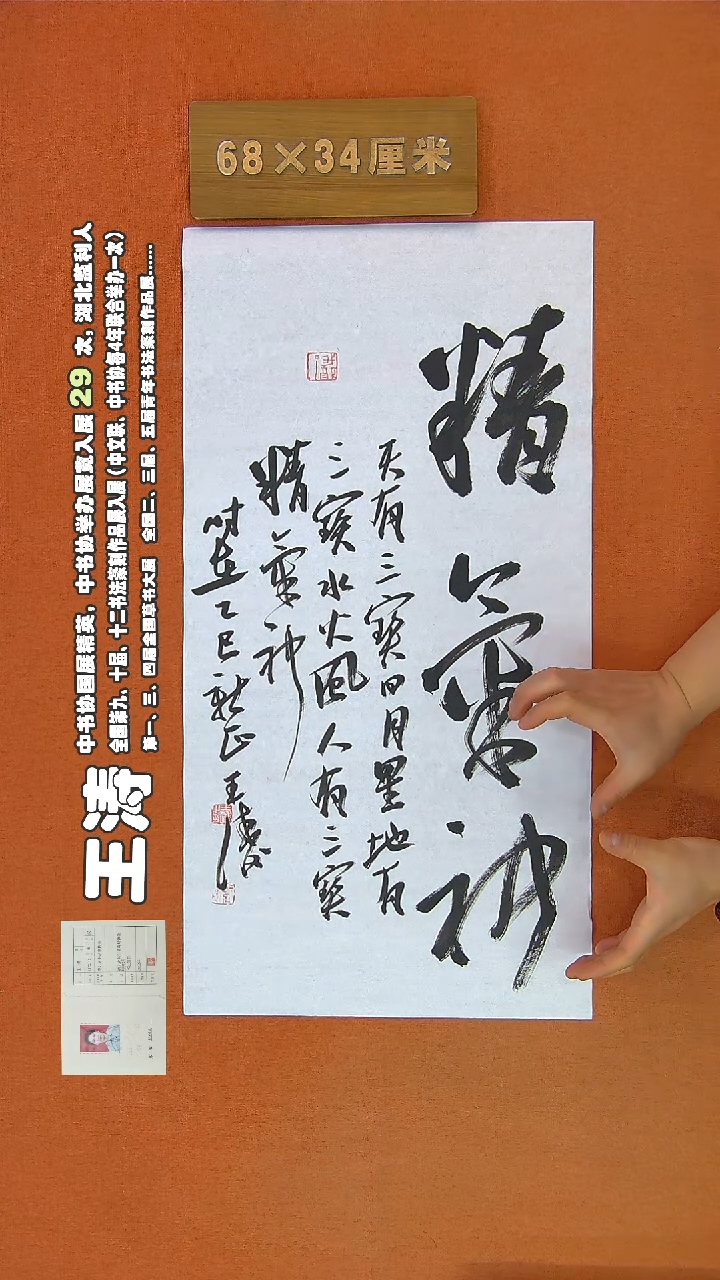 【闪购商品】书法322王涛书法作品