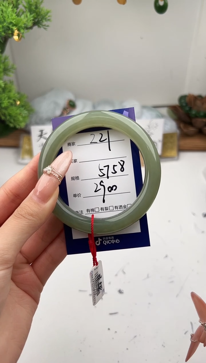 未镶嵌手镯和田玉微色差Z21