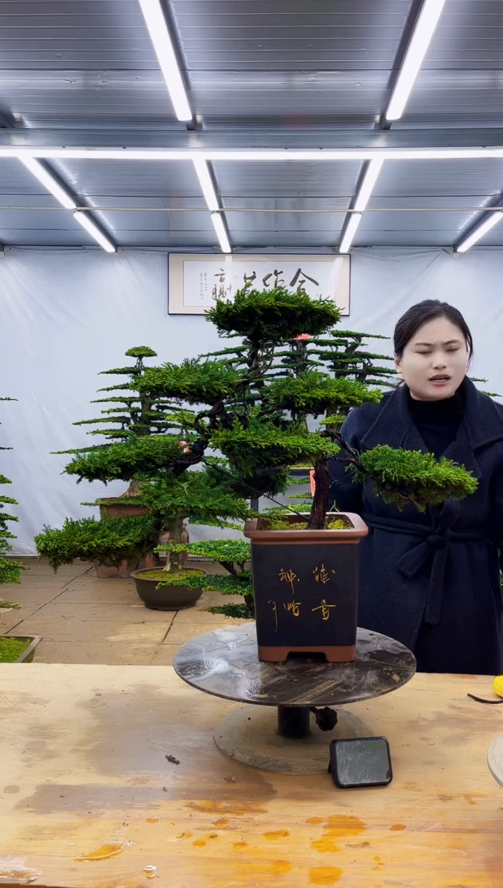 无花朵一物一拍，所见即所得