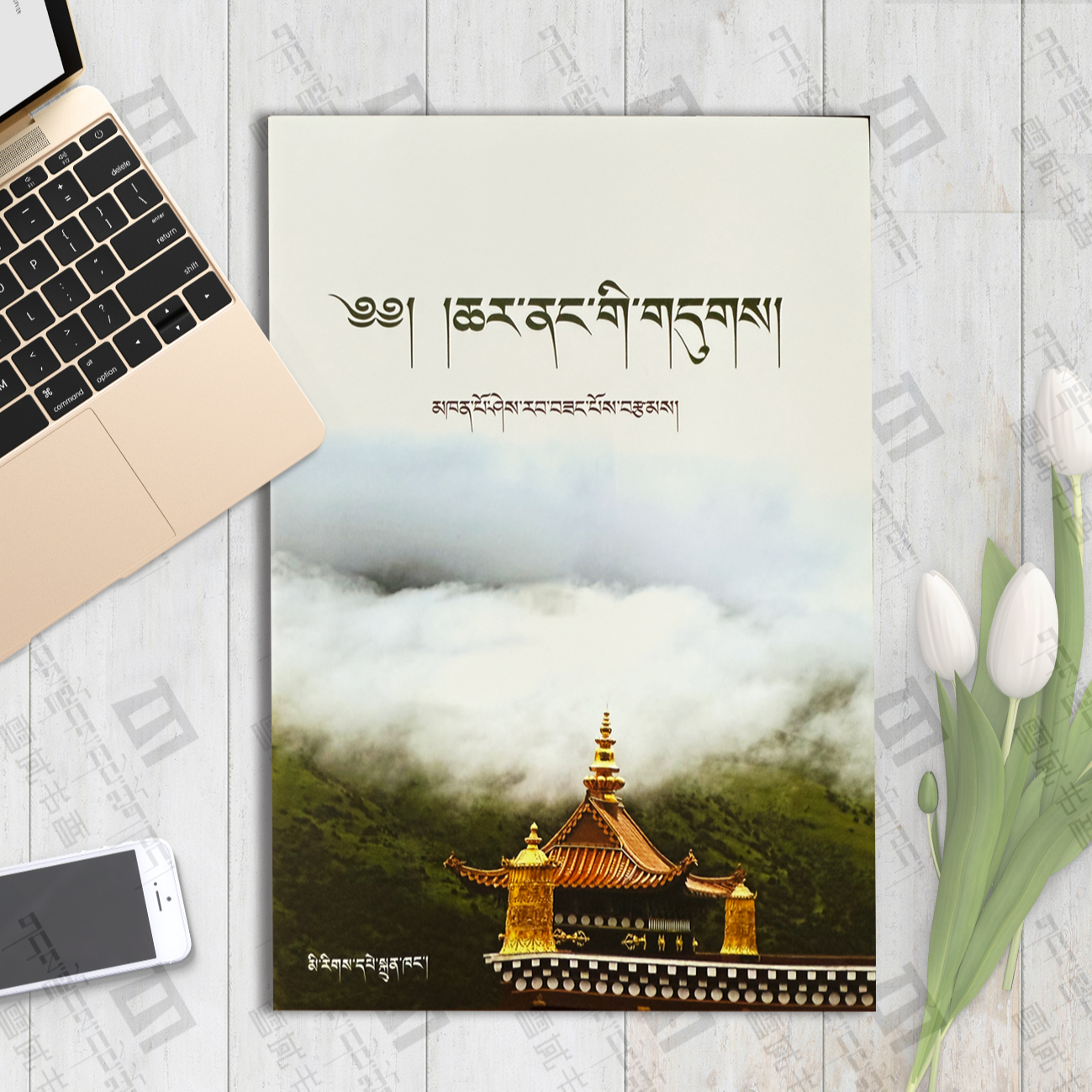 次第花开次第花开书籍藏文书藏文版：藏文希阿荣博堪布著书籍