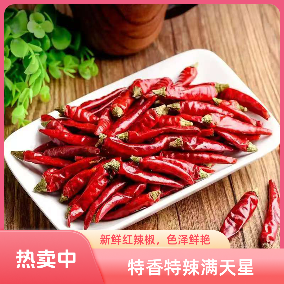 满天星特辣特香干辣椒