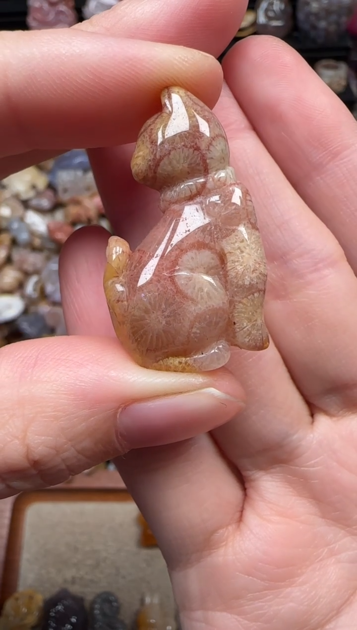 颈饰未镶嵌硅化珊瑚（珊瑚玉）375