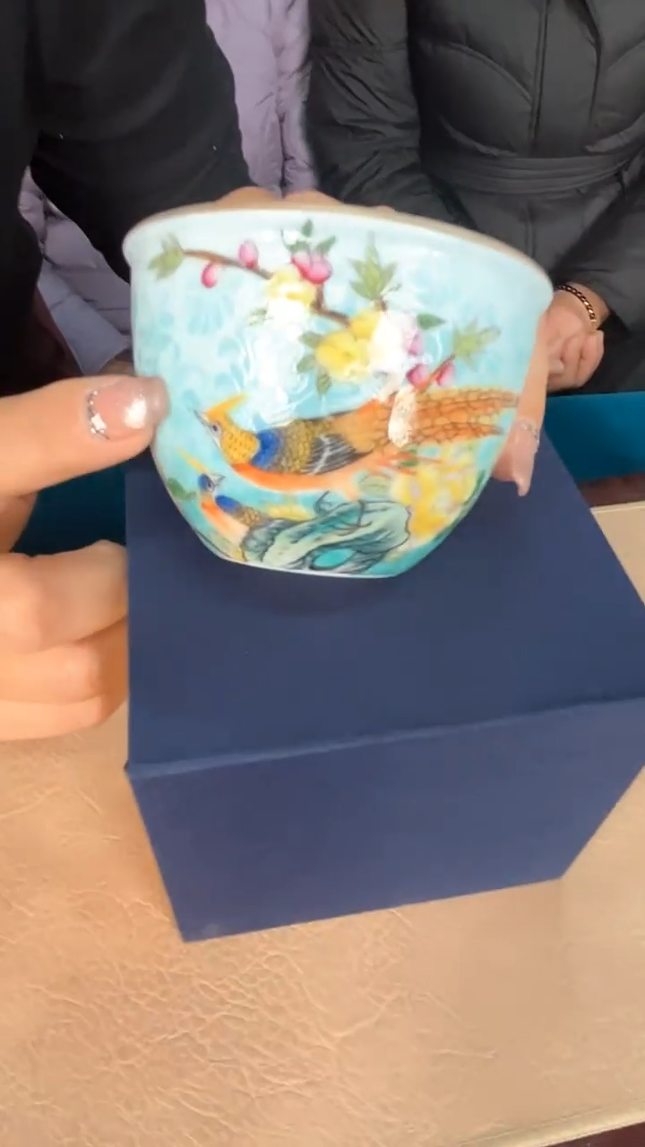 【闪购商品】杯16++++++++++++++++