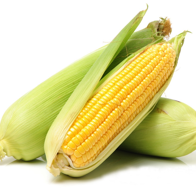 【标】黄玉米EA约300g-400g/根