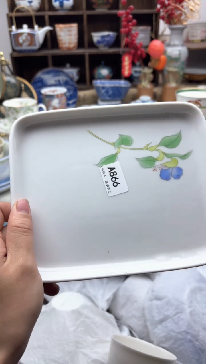 【闪购商品】碟866A.............