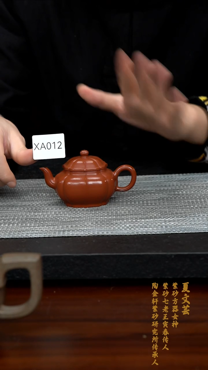 【闪购商品】紫砂茶壶XA012-0213YWX