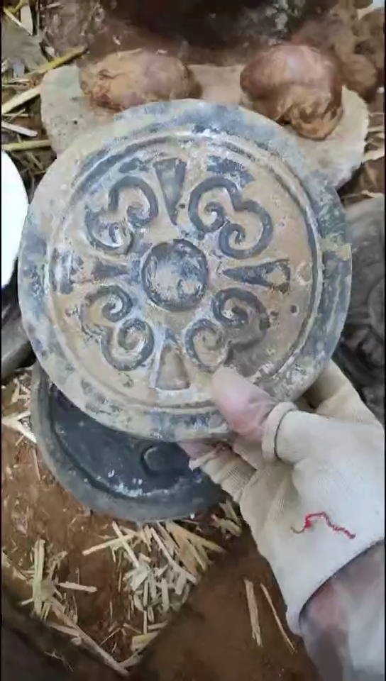 片111wadang一单一个