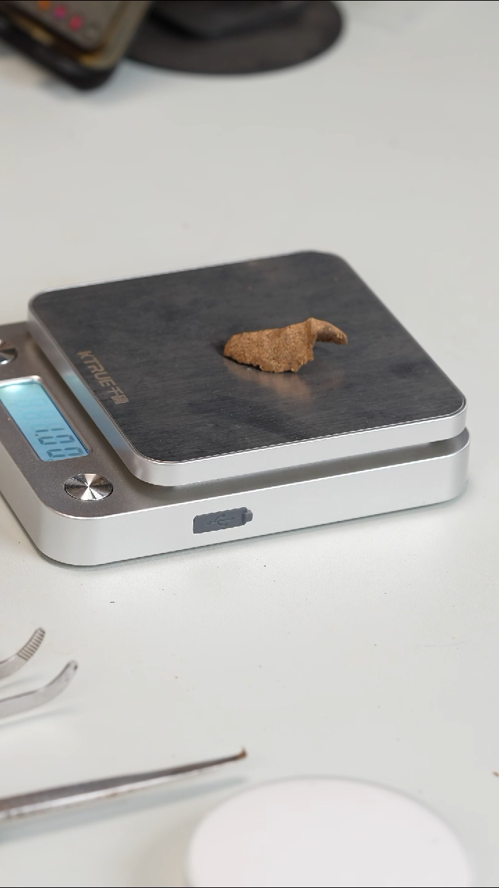沉香沉香碎屑香港鸡母虫 1g
