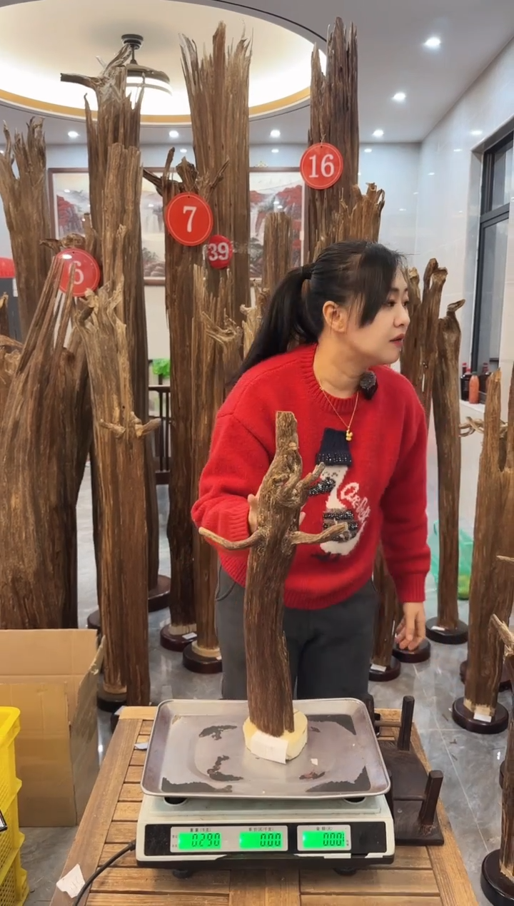 【闪购商品】沉香摆件沉香摆件46