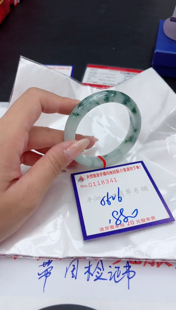 未镶嵌手镯翡翠1
