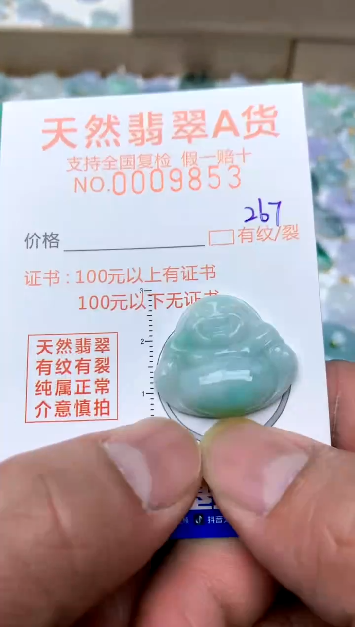 【闪购商品】翡翠颈饰未镶嵌267天然A货翡翠