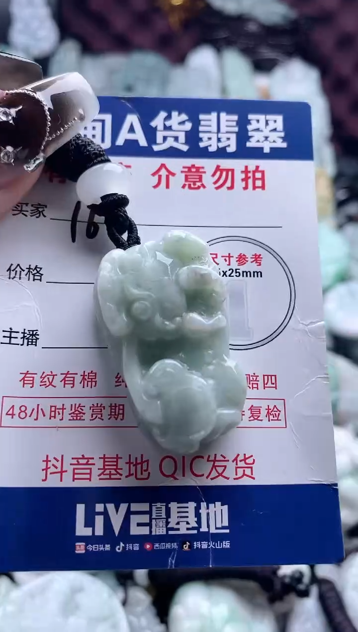 翡翠未镶嵌吊坠(不含链)1