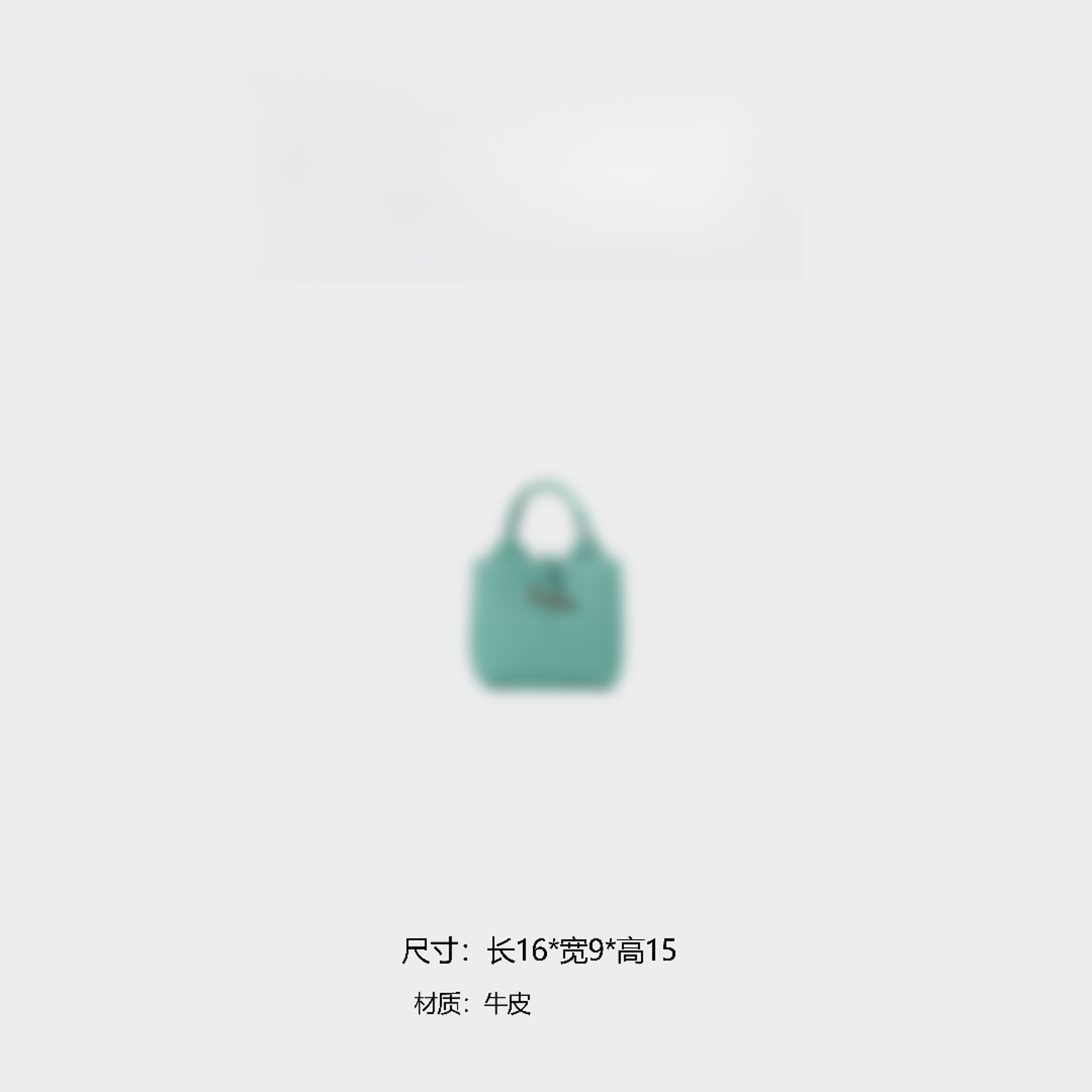 《李老板专属》【甄选】轻奢时尚小众通勤简约手提单肩包BV9074-绿色