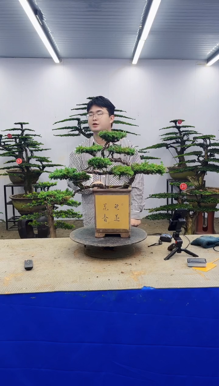 无花朵一物一拍，所见即所得