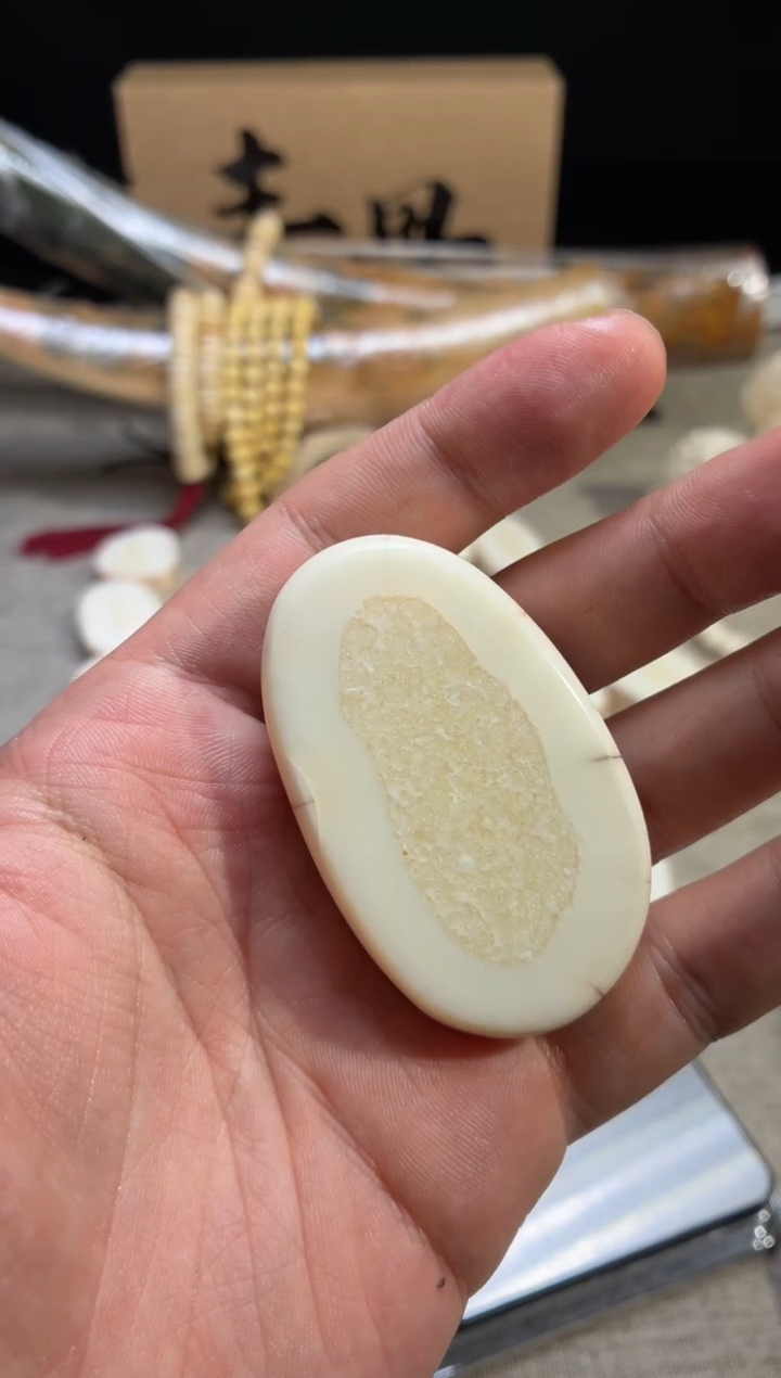 把件猛犸象牙黑****️定向17 虬系列饼子