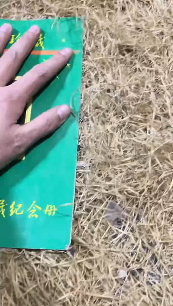 材料福利直播间所见即所得4545