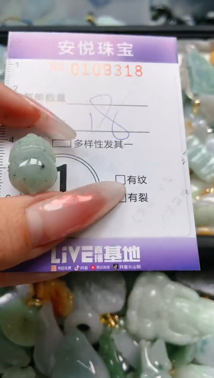 【闪购商品】翡翠颈饰未镶嵌闪购0109318