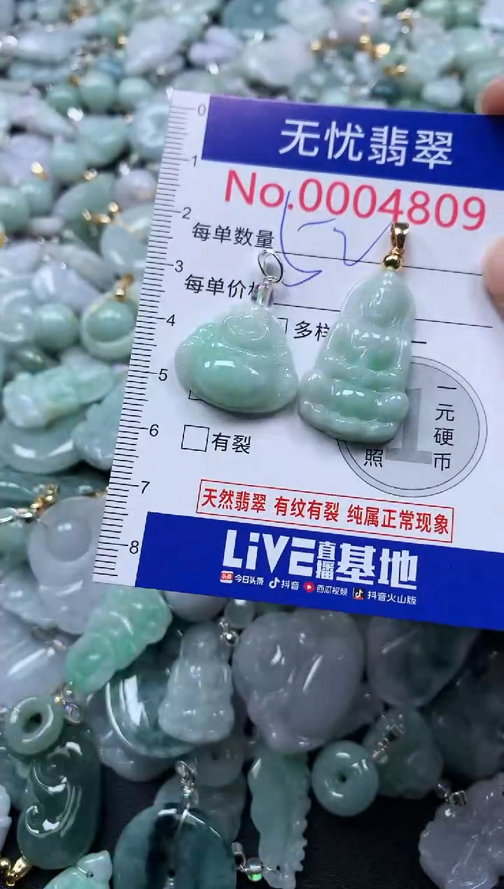 颈饰未镶嵌翡翠4809