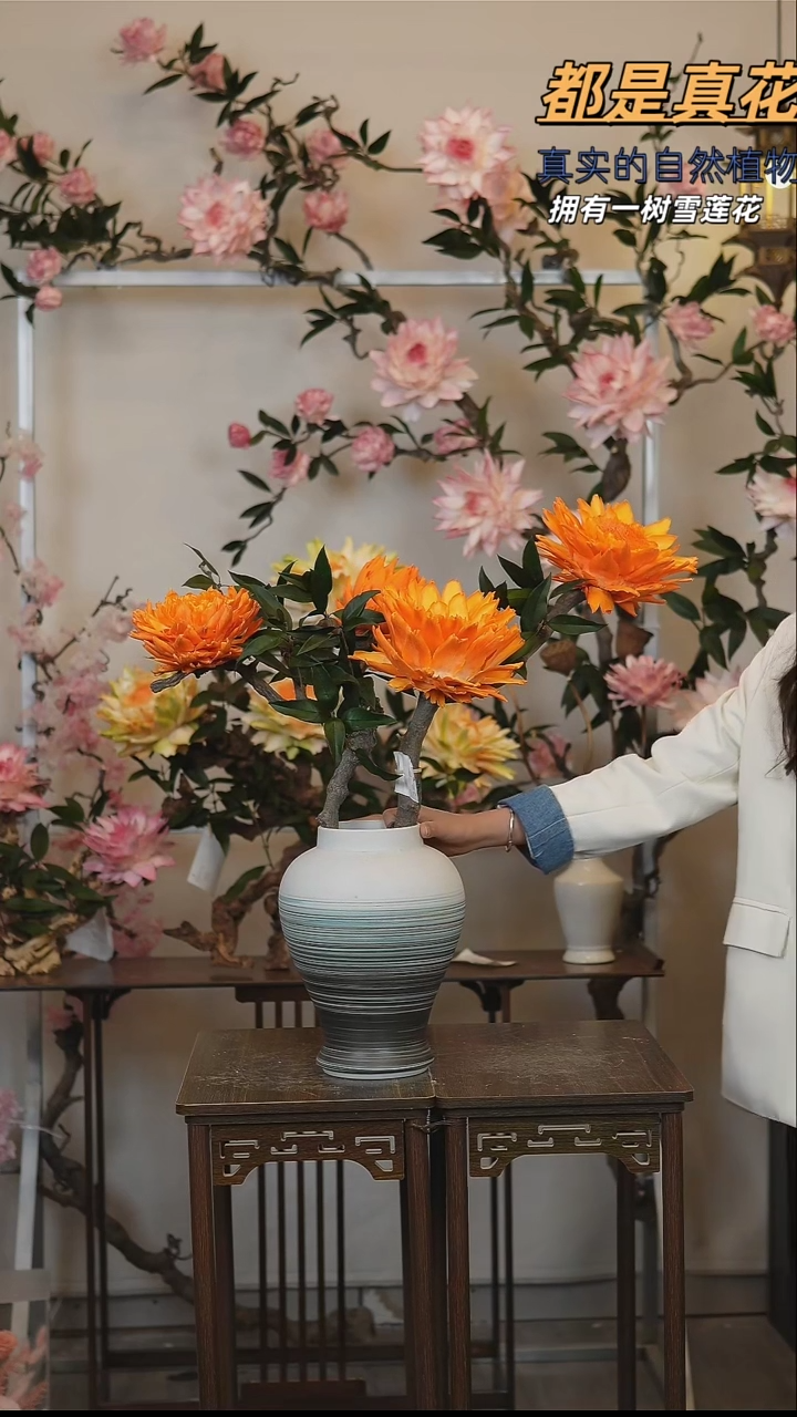 龙枣枝雪莲带瓶789