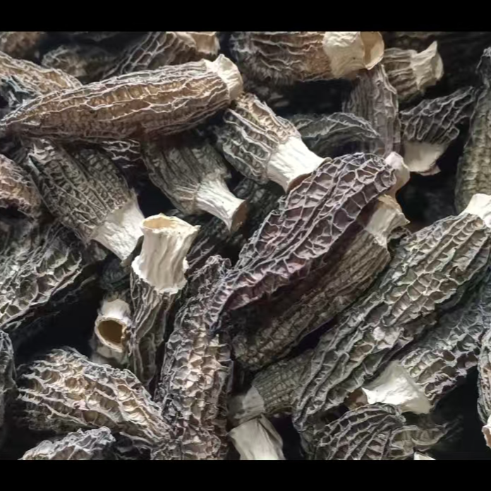 羊肚菌6妹新货干货 4-7 自用清爽好货 煲汤冬季必备