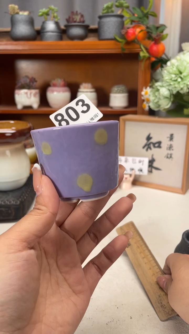 瓷片803知木小芳花盆