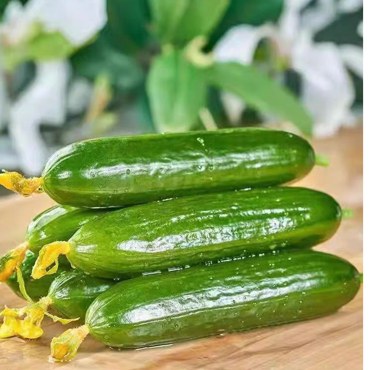 水果小黄瓜一件（约2斤）