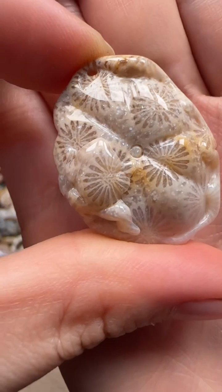 【闪购商品】硅化珊瑚（珊瑚玉）颈饰未镶嵌458
