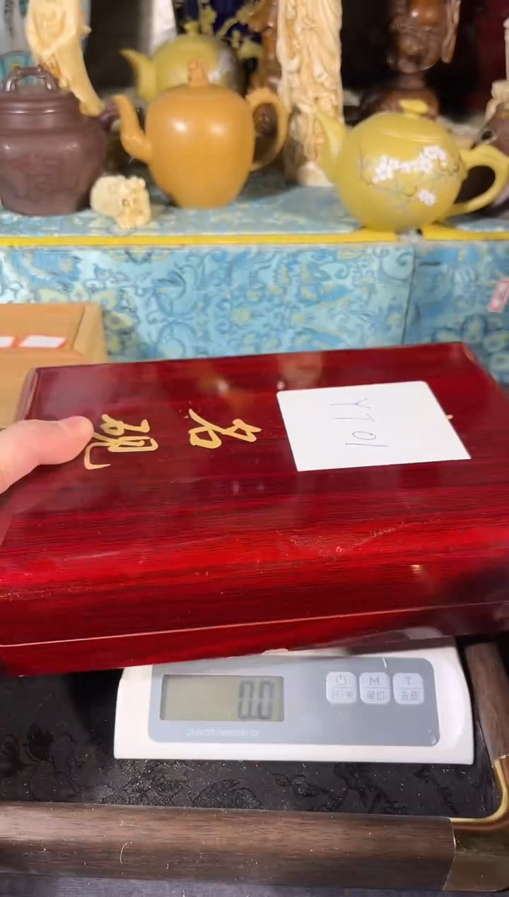 黄杨木111111111111111111
